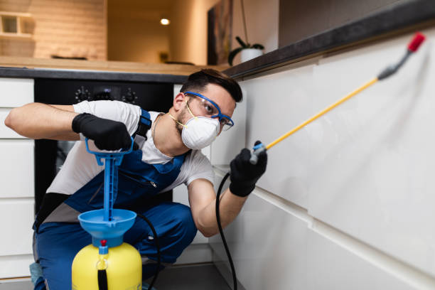 Best Affordable Pest Control Services  in East Grand Forks, MN