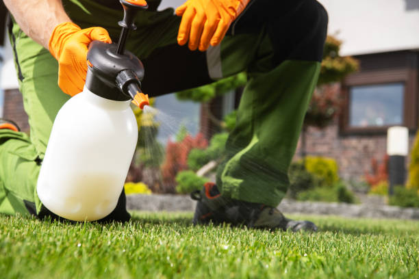 Pest Prevention Services in East Grand Forks, MN