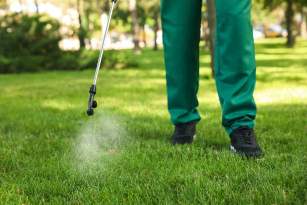 Best Pest Inspection Near Me  in East Grand Forks, MN