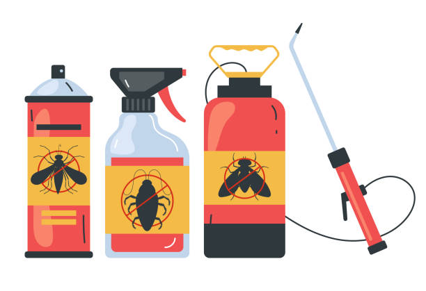 Best Spider Control Near Me  in East Grand Forks, MN