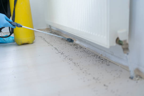 Best Emergency Pest Control  in East Grand Forks, MN